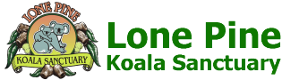 Logo_Lone_Pine