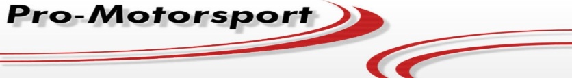 Logo_pro-motorsport
